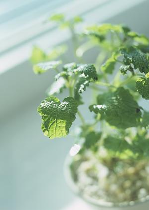 青山エリアで見つける！スタイリッシュな家具選びとインテリアコーディネートの秘訣