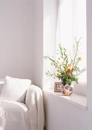 イベントに合わせて揃える人形とは